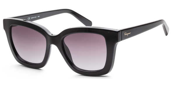 Ferragamo Fashion Women's Sunglasses SF955S-5319001