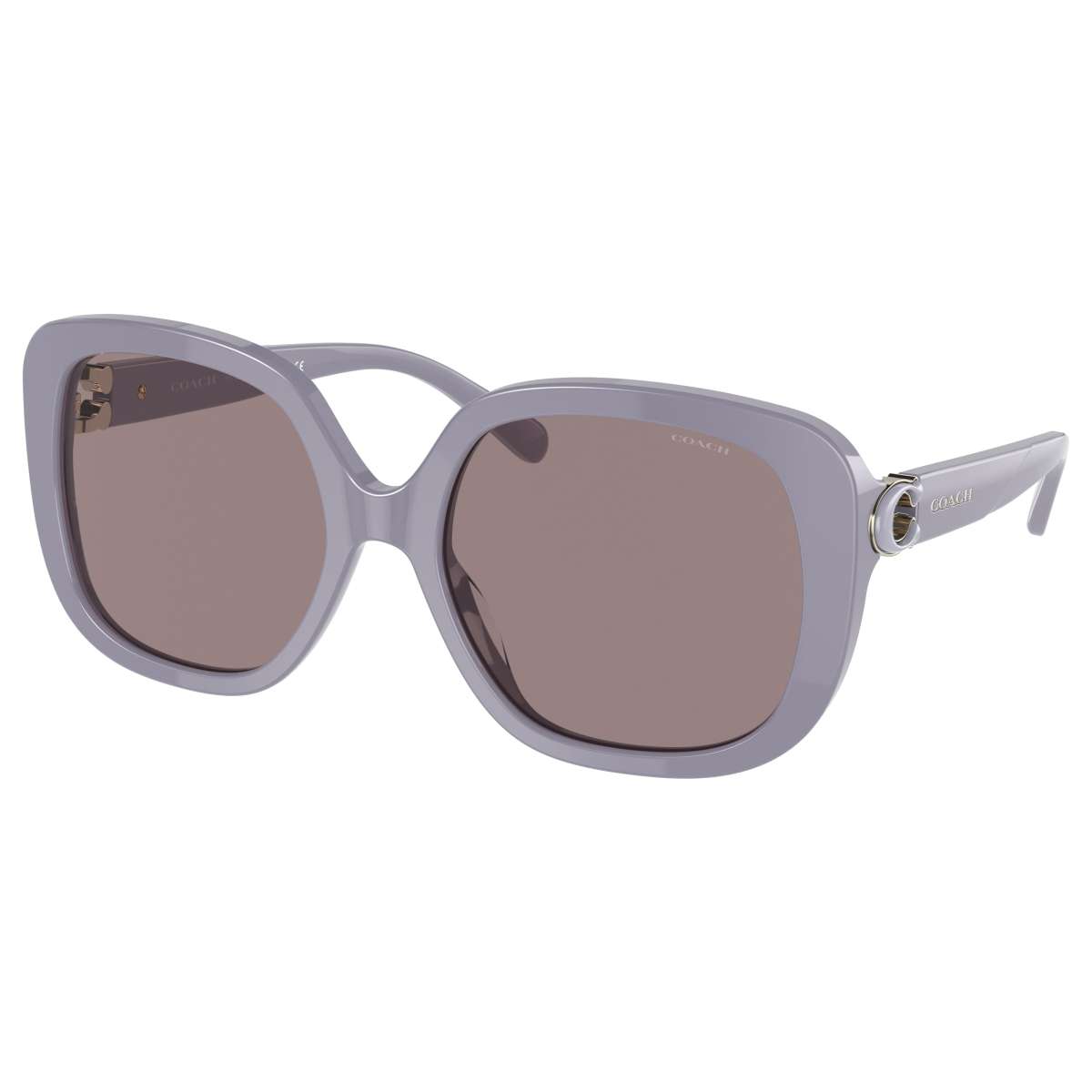 Buy Coach Fashion women's Sunglasses HC829256907N56