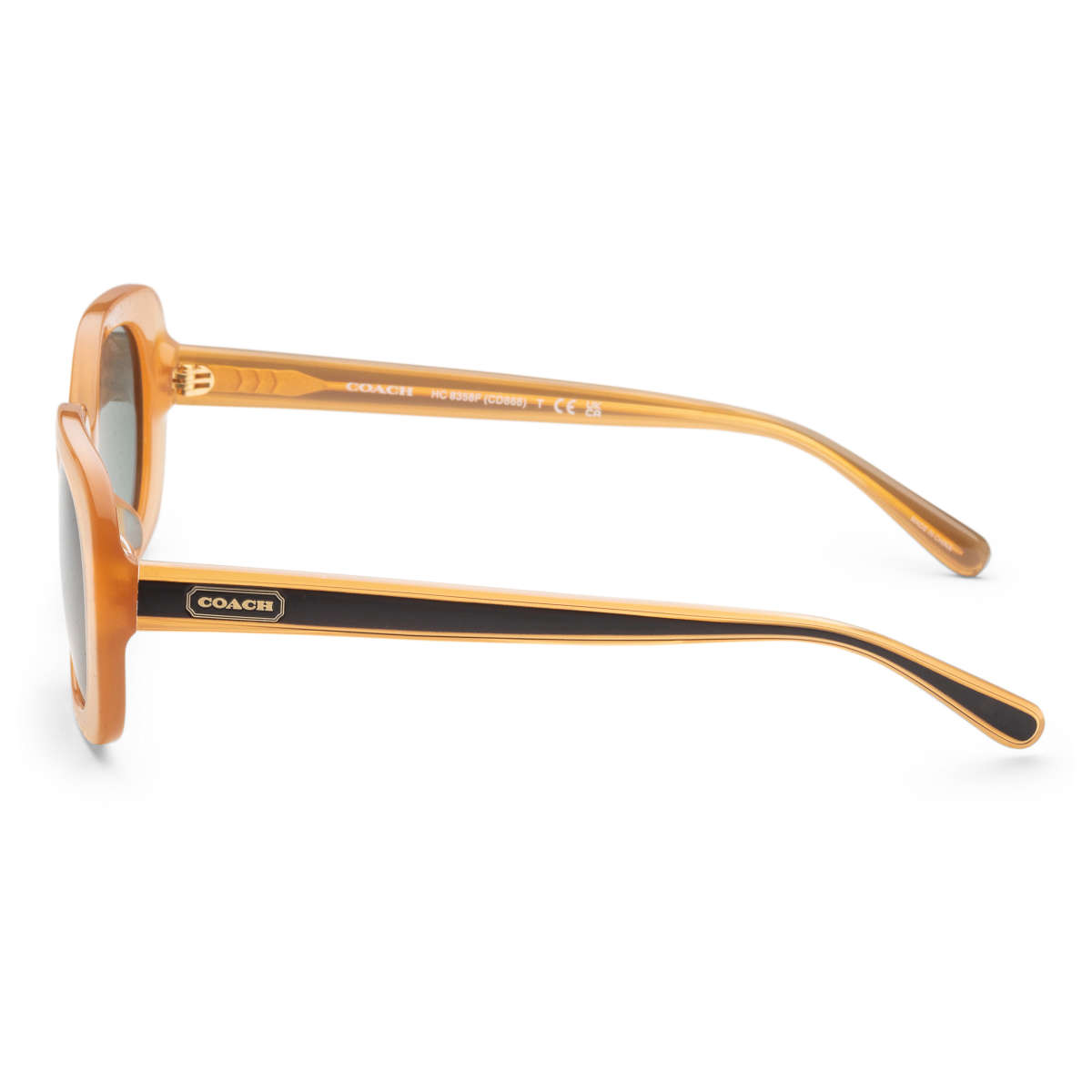 Coach Women's Sunglasses HC8358F-571282