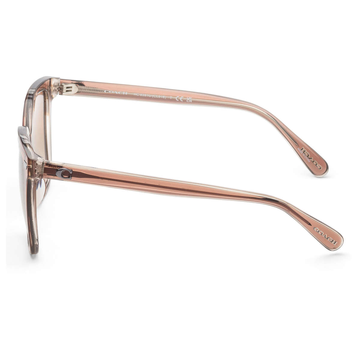 Coach Women's Sunglasses HC8381U-577913-54