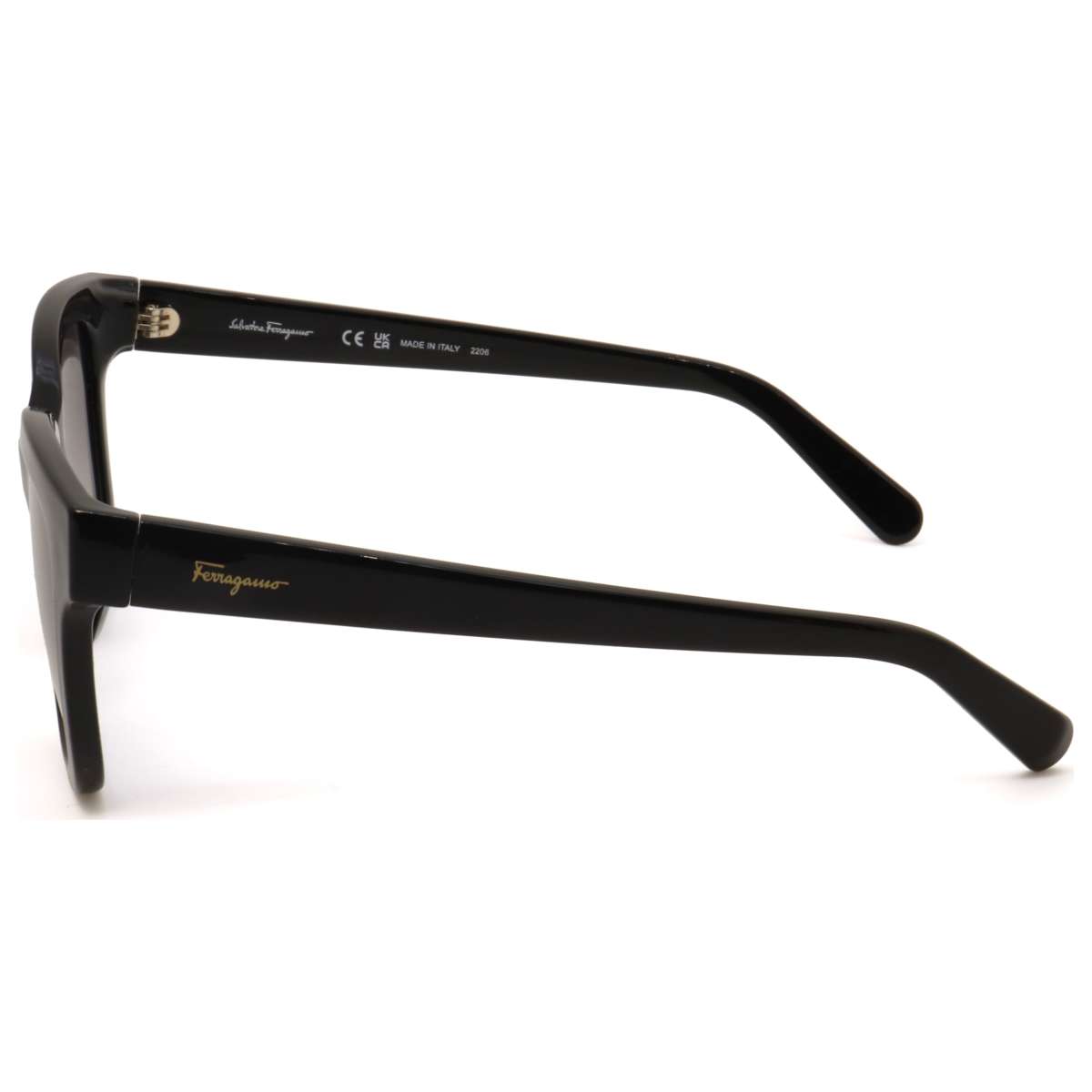 Ferragamo Women's Sunglasses SF1066S-001