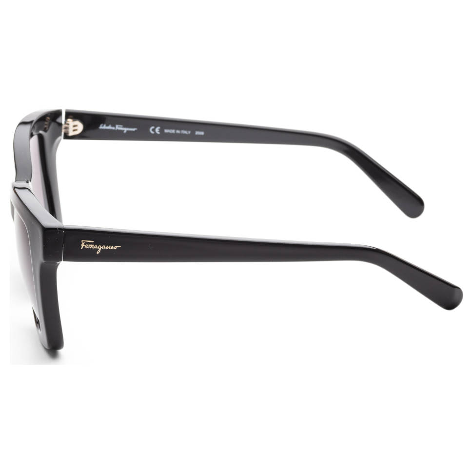 Ferragamo Women's Sunglasses SF955S-5319001
